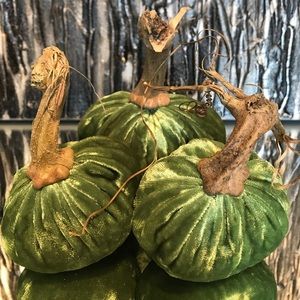 Velvet pumpkins 🎃